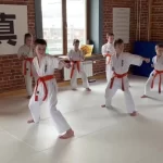 Занятия йогой, фитнесом в спортзале Абсолют Киокушинкай Карате Москва
