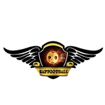 Спортивный клуб Afm Saffootball