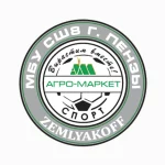 Занятия йогой, фитнесом в спортзале Агро-маркет Спорт Пенза
