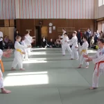 Занятия йогой, фитнесом в спортзале Айкидо Ёсинкан Новосибирск