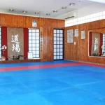 Занятия йогой, фитнесом в спортзале Айкидо Sengenkan Showakan Dojo Москва