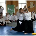 Занятия йогой, фитнесом в спортзале Айкикай Клин