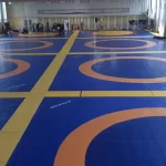 Занятия йогой, фитнесом в спортзале Академия Борьбы Grappling Academy Домодедово