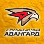 Спортивный клуб Академия футбольного мастерства Авангард