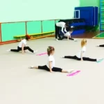 Занятия йогой, фитнесом в спортзале Академия художественной гимнастики Колибри Казань