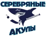 Спортивный клуб Акулы Бутс на Чечёрском