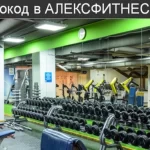 Занятия йогой, фитнесом в спортзале Alex Fitness Москва