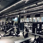 Занятия йогой, фитнесом в спортзале Alex Fitness Москва