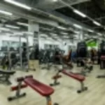 Занятия йогой, фитнесом в спортзале Alex Fitness Новосибирск