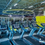 Занятия йогой, фитнесом в спортзале Alex Fitness Пятигорск