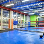 Занятия йогой, фитнесом в спортзале Alex Fitness Санкт-Петербург