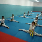 Занятия йогой, фитнесом в спортзале Алтайская Краевая Спортивная Федерация Тхэквондо Итф Барнаул