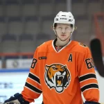 Занятия йогой, фитнесом в спортзале Амурские тигры Благовещенск