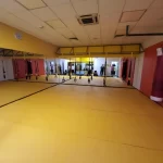 Занятия йогой, фитнесом в спортзале Ананас Москва