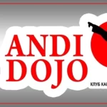 Занятия йогой, фитнесом в спортзале Andi dojo Шуя