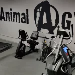 Занятия йогой, фитнесом в спортзале Animal Gym Севастополь