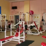 Занятия йогой, фитнесом в спортзале Animal Gym Севастополь