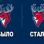 Занятия йогой, фитнесом в спортзале АНО ХК Торпедо Нижний Новгород