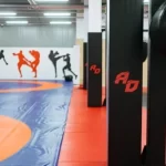 Занятия йогой, фитнесом в спортзале Арена Дон Воронеж