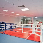 Занятия йогой, фитнесом в спортзале Arriba Краснодар