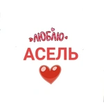 Спортивный клуб Асель