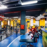 Занятия йогой, фитнесом в спортзале Athletic Gym Тюмень