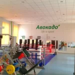 Занятия йогой, фитнесом в спортзале Авокадо Ижевск