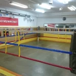 Занятия йогой, фитнесом в спортзале Азбука бокса Барнаул