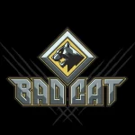 Занятия йогой, фитнесом в спортзале Badcat Новосибирск