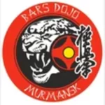 Занятия йогой, фитнесом в спортзале Bars Dojo Murmansk Мурманск