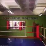 Занятия йогой, фитнесом в спортзале Барс Истра