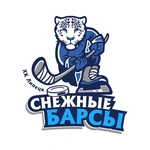 Спортивный клуб Барс