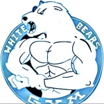 Занятия йогой, фитнесом в спортзале Белые медведи Москва