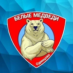 Спортивный клуб Белые Медведи
