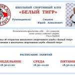 Занятия йогой, фитнесом в спортзале Белый Тигр Челябинск