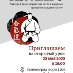 Занятия йогой, фитнесом в спортзале Best aikido Зеленоград