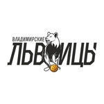 Спортивный клуб БК Владимирские львицы