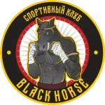 Занятия йогой, фитнесом в спортзале Black horse Екатеринбург