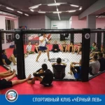 Занятия йогой, фитнесом в спортзале Black Lion Новоуральск