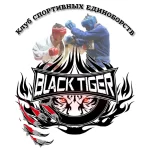 Занятия йогой, фитнесом в спортзале Black tiger Балашиха