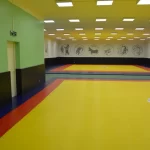 Занятия йогой, фитнесом в спортзале Боевое самбо Краснодар