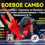 Занятия йогой, фитнесом в спортзале Боевое Самбо Севастополь