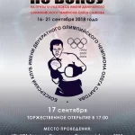 Занятия йогой, фитнесом в спортзале Боксерский клуб им. двукратного олимпийского чемпиона Олега Саитова Самара