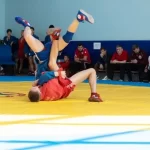 Занятия йогой, фитнесом в спортзале Борьба самбо Красный Кут