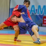 Занятия йогой, фитнесом в спортзале Борьба самбо Красный Кут