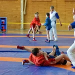 Занятия йогой, фитнесом в спортзале Борьба самбо Красный Кут