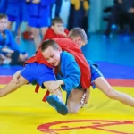 Занятия йогой, фитнесом в спортзале Борьба самбо Красный Кут