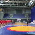 Занятия йогой, фитнесом в спортзале Борьба Самбо Люберцы