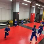 Занятия йогой, фитнесом в спортзале Бразильское Джиу-Джитсу Москва
