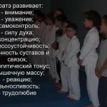 Занятия йогой, фитнесом в спортзале Броово СК Годзю-Рю Карате-до Борисоглебск